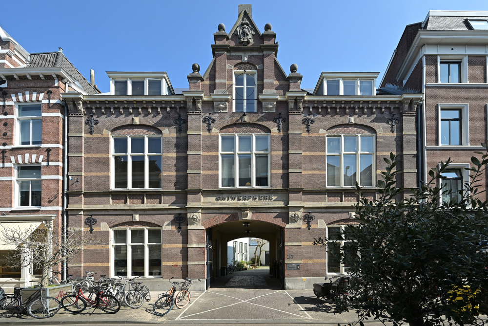 Foto 5 1000w