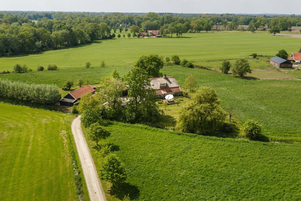 Foto 19 1000w