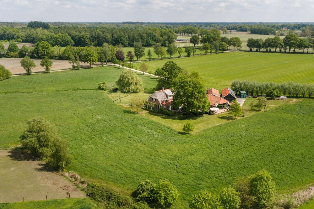 Foto 20 1000w
