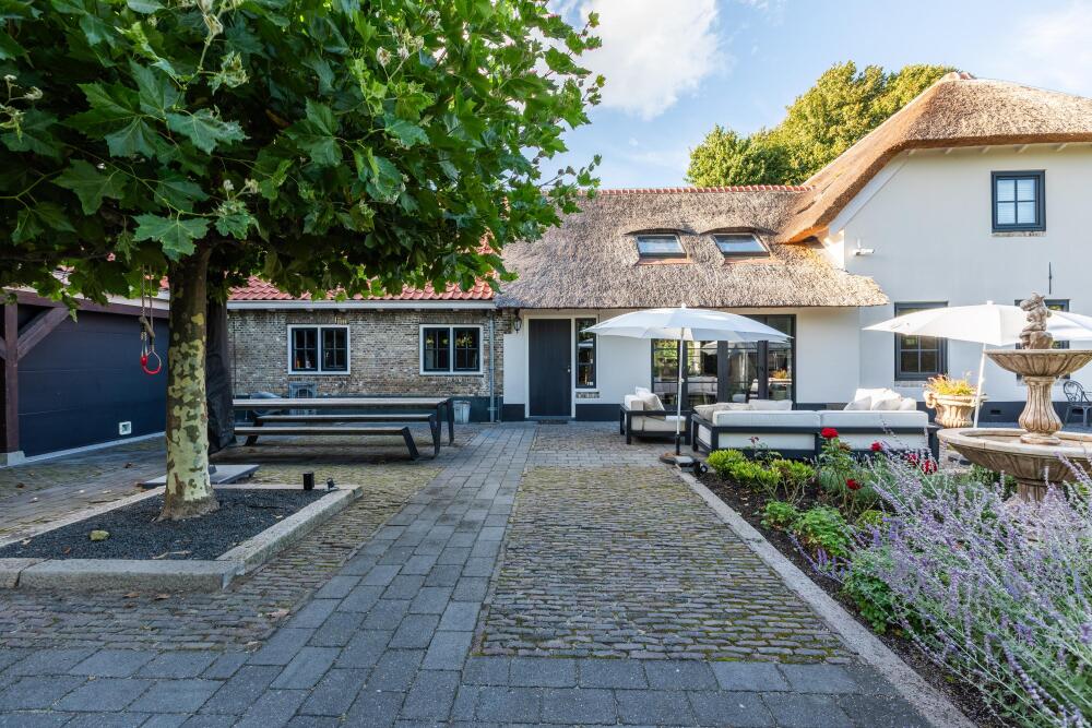 Foto 5 1000w