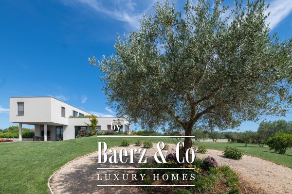 photo 55 Croatia, Istria, Umag: Stunning Villa with pool surrounded by olive groves