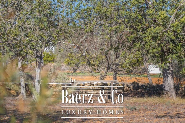 photo 38 Beautiful luxury home in San Mateo, San Mateo