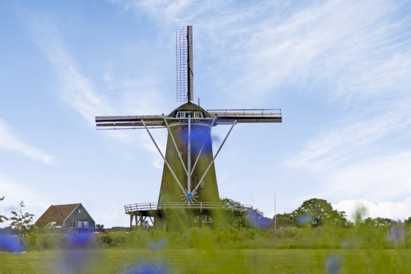 photo 31 Diepenheimseweg 25 a