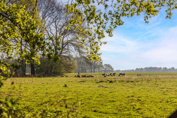photo 4 Schoolkaterdijk 80