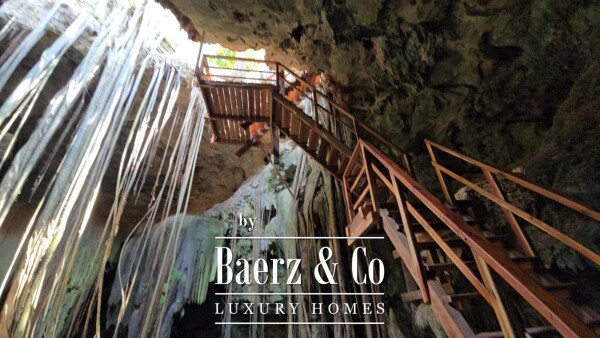 photo 52 18th Century Hacienda with Cenote and 403 acres!