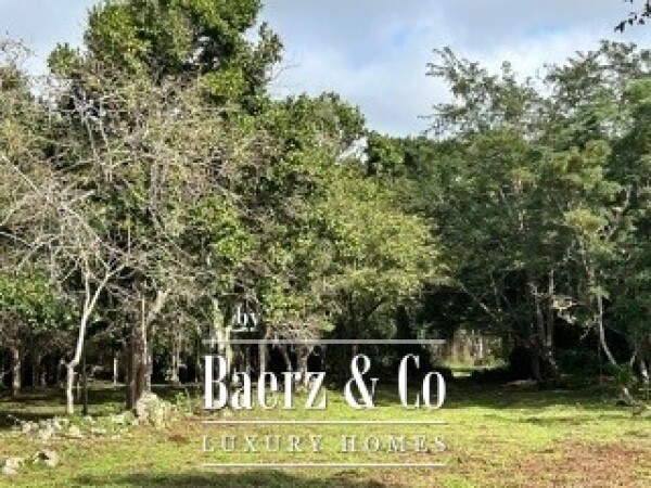 photo 40 18th Century Hacienda with Cenote and 403 acres!