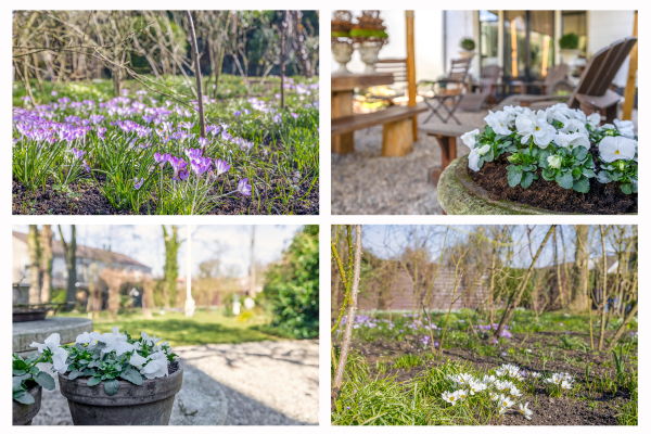 photo 62 Dorpsstraat 12