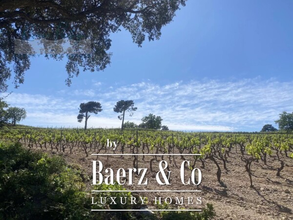 photo 1 30-HECTARE PROPERTY – NEAR SAINT-TROPEZ