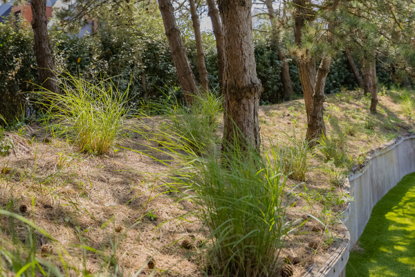 photo 36 Boerhaaveweg 30