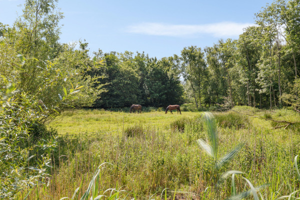 photo 68 Oudeschouw 8