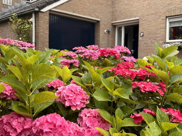 photo 6 Lijsterlaan 2 b