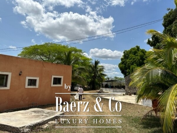 photo 5 Sudzal carretera a Tzalam, Km 7 