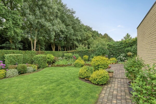 photo 42 Bilzekruid 11