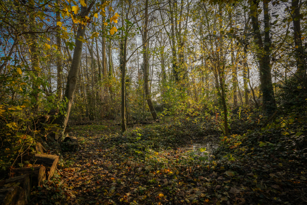 photo 65 Korfgraaf 24