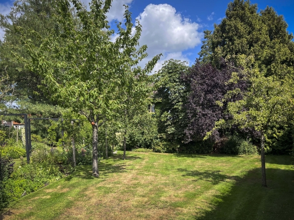 photo 55 Ruurloseweg 6