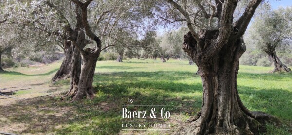 photo 20 Catalan-Style Country Estate – A Unique Historic Gem for sale