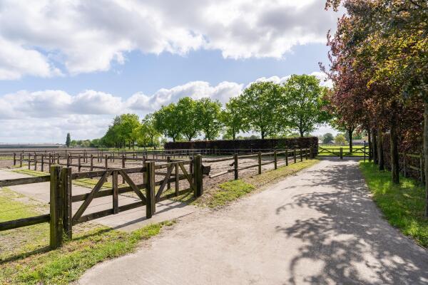 photo 51 Kapelstraat 12 14