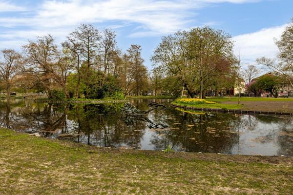 photo 11 van Bergen IJzendoornpark 19