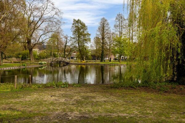 photo 12 van Bergen IJzendoornpark 19