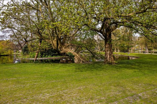 photo 13 van Bergen IJzendoornpark 19