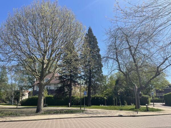 photo 52 van Bergen IJzendoornpark 19