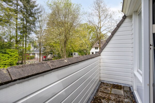 photo 50 Zilvermos 2