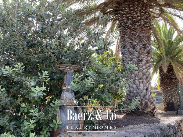 photo 8 Magnificent estate featuring family home and an organic banana plantation