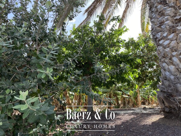 photo 10 Magnificent estate featuring family home and an organic banana plantation