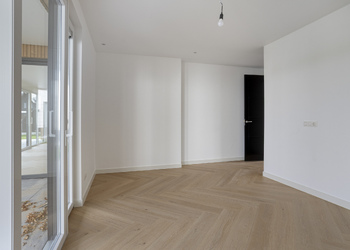 DE LUTTE